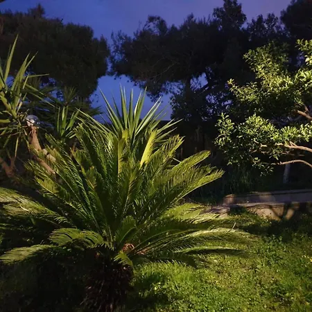 Teresa 지오비나조