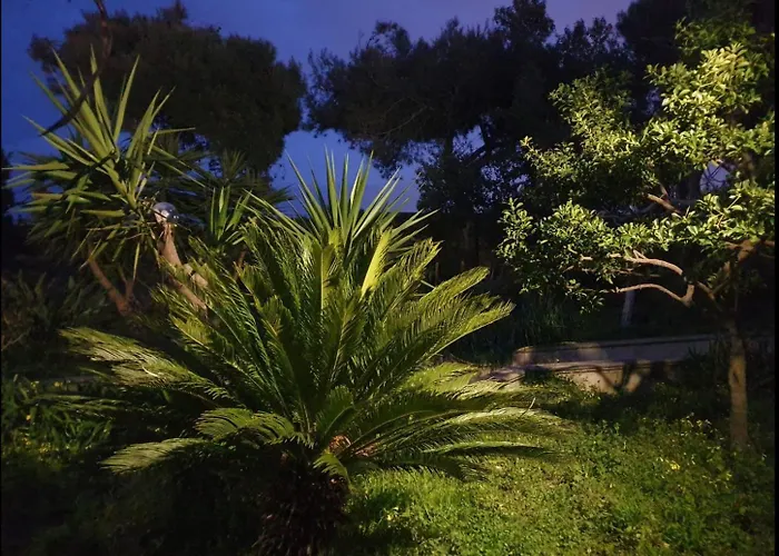 Teresa 지오비나조